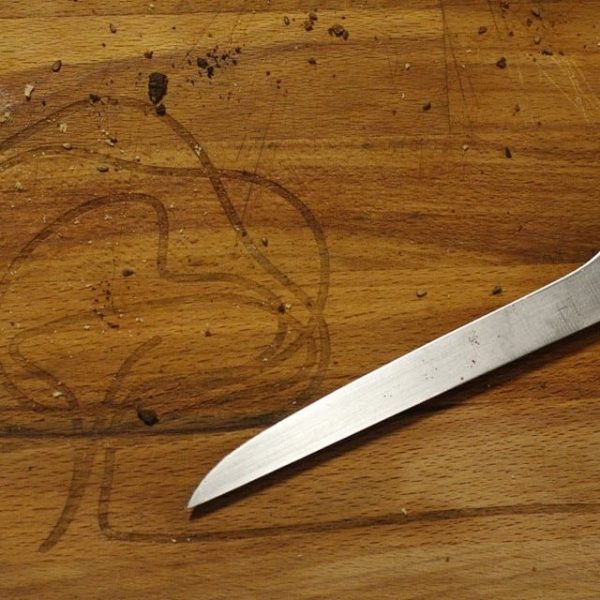 10460360_970448819645918_2971008823700558170_n