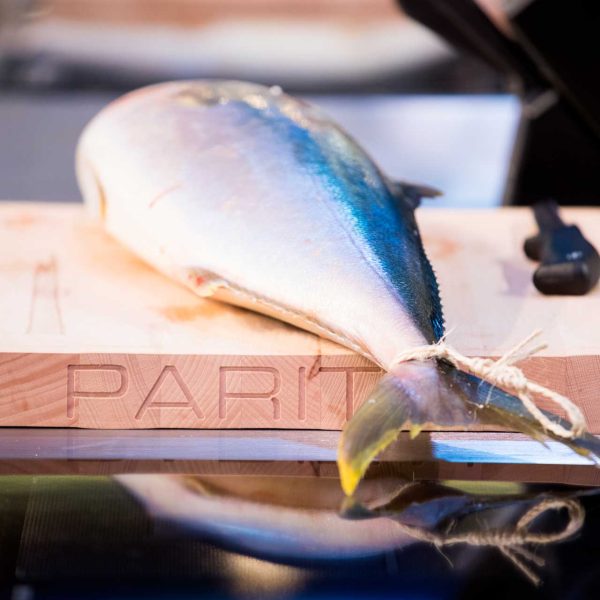 CMC---PARITAL-01---N61A1006