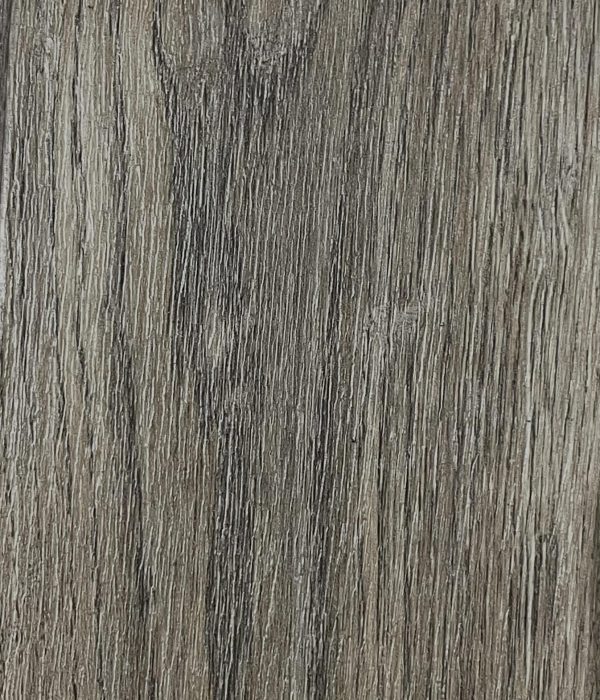 SAHARA - PARTICOLARE